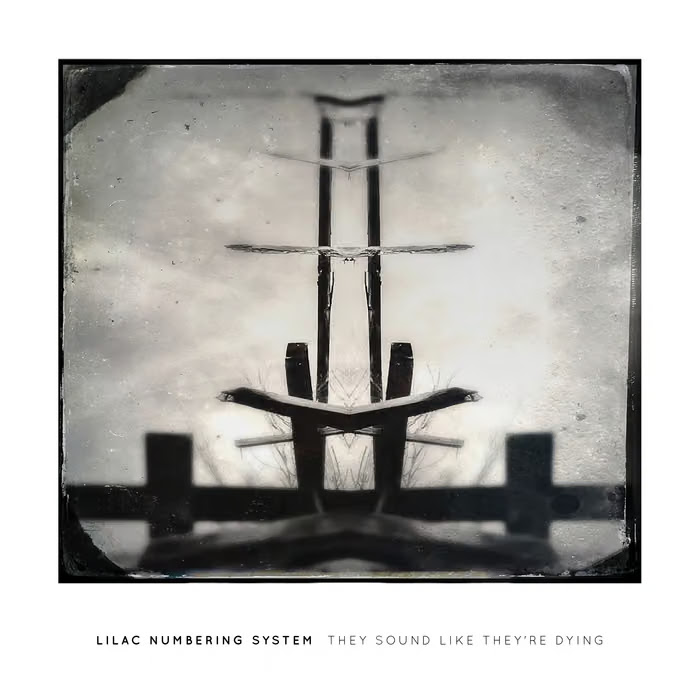 Lilac Numbering System – They Sound Like They’re Dying (Album Review)