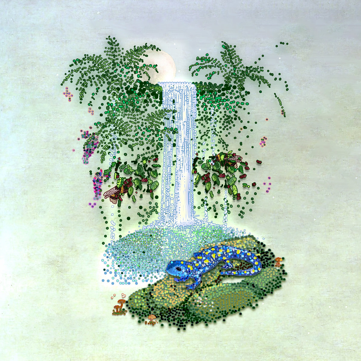 Saapato – Seasons Turn Like Pages (Album Review)