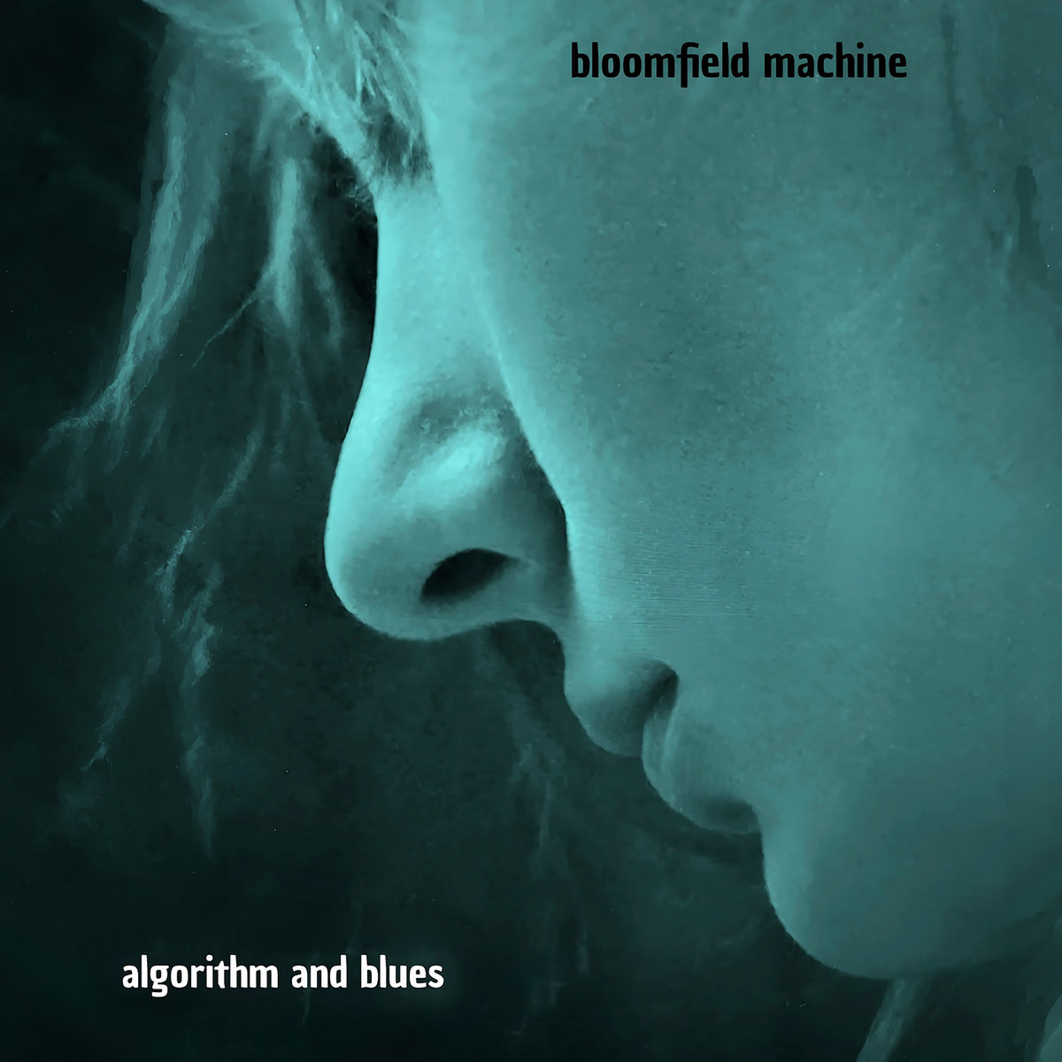 Bloomfield Machine -Algorithm & Blues (Album Review)